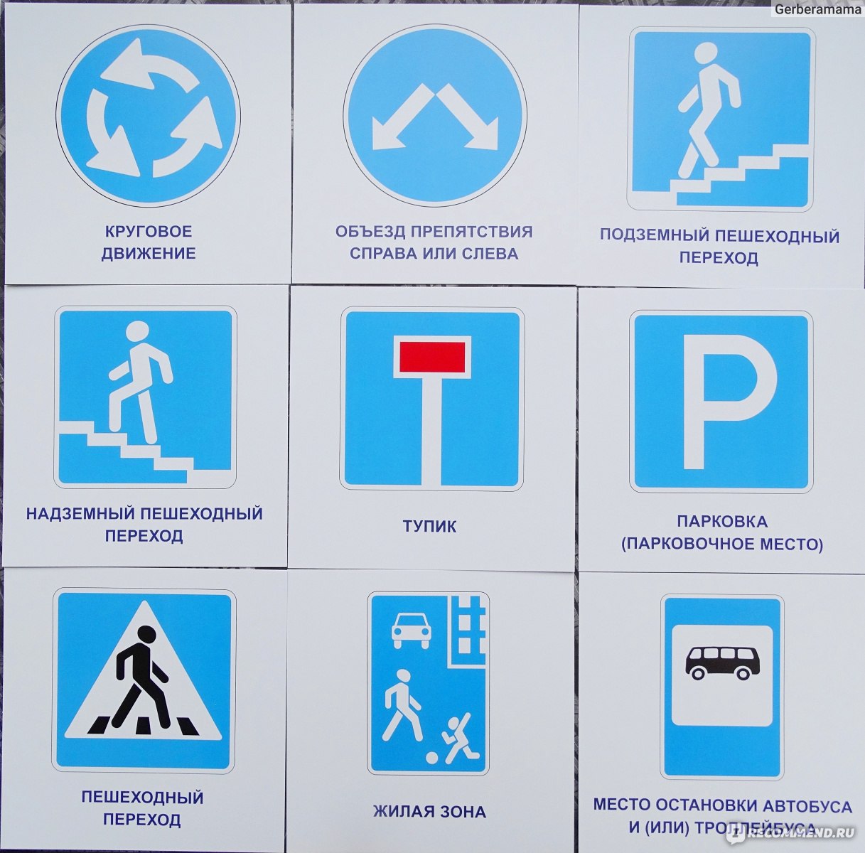 Виды дорожных знаков и их значение для детей