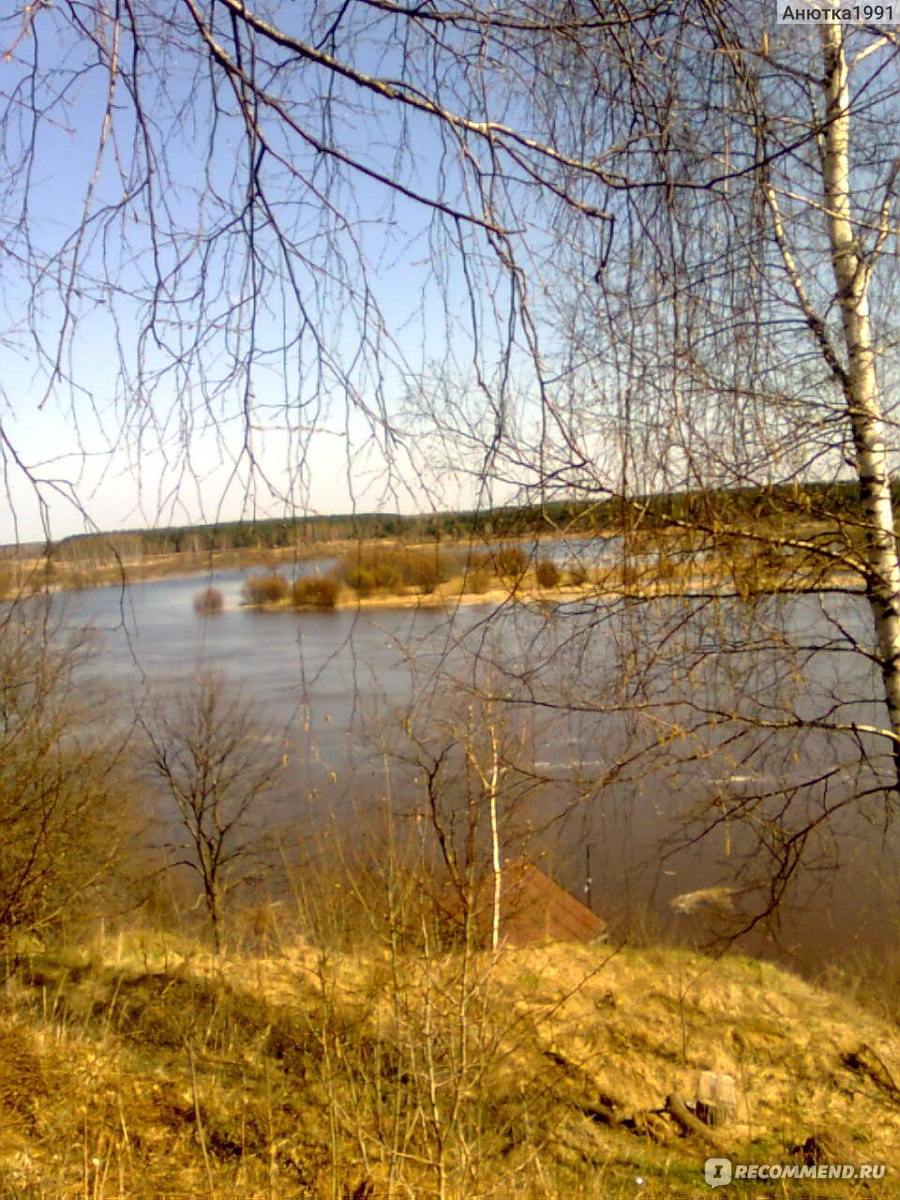 Нижегородская область, Ветлуга - «Моя родина» | отзывы