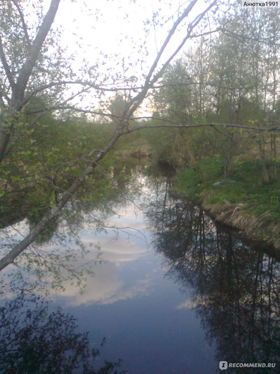 Нижегородская область, Ветлуга - «Моя родина» | отзывы