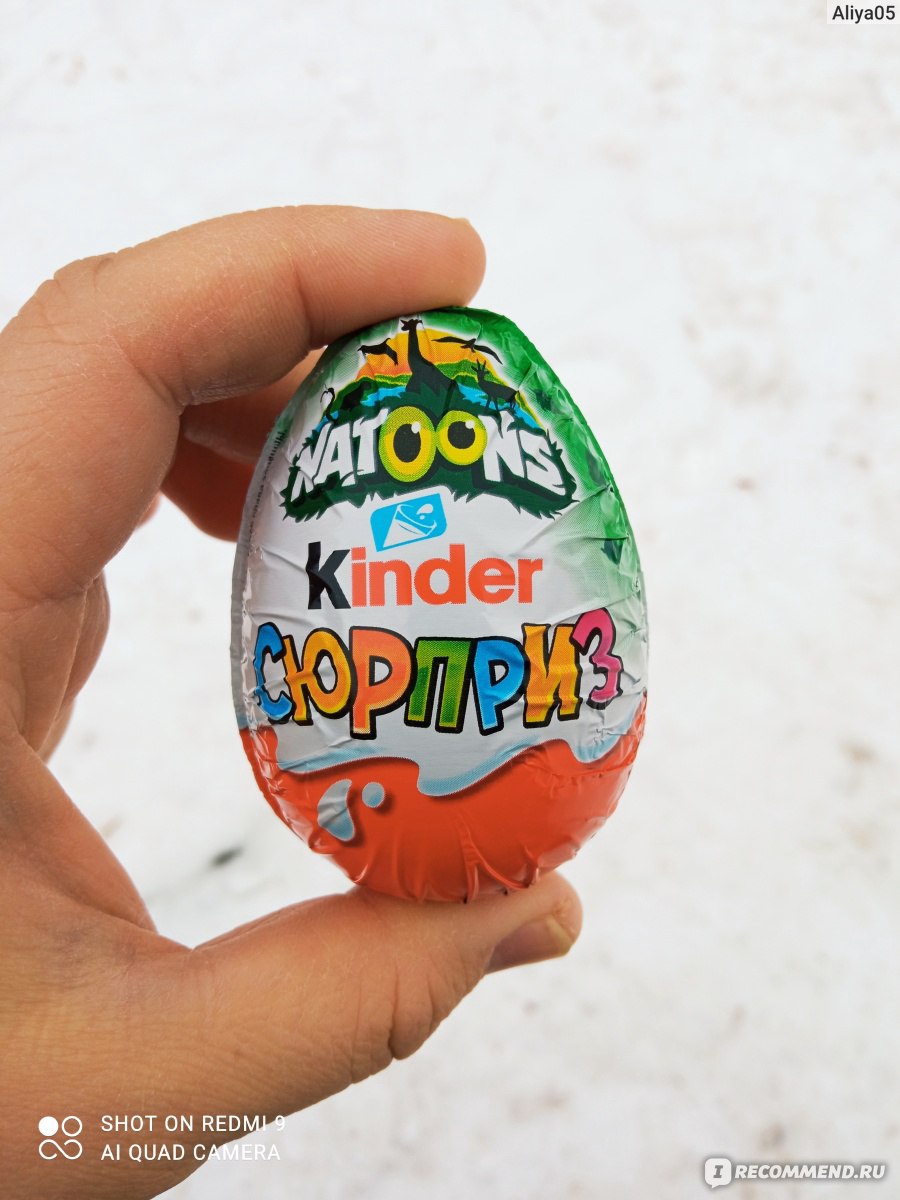 Шоколадное яйцо с сюрпризом FERRERO Kinder сюрприз Natoons - «Одна из  лучших и интересных коллекций Kinder Сюрприз - Natoons Животные Северной  Америки🐣» | отзывы