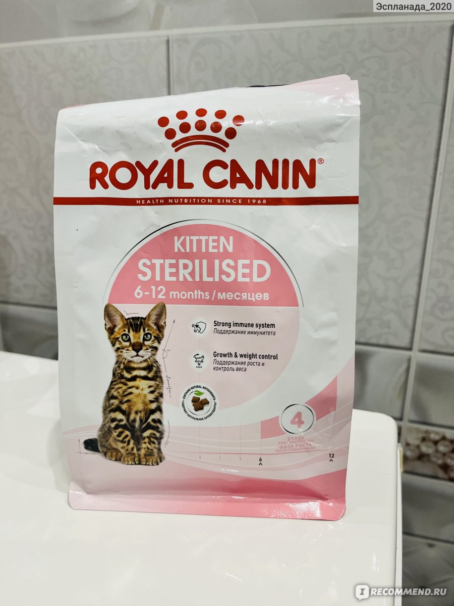 Какой корм для стерилизованных котов лучше. Корм Роял Канин для котят до 12 месяцев. Корм Роял Канин для котят до 12. Royal Canin Sterilised, 2кг. Royal Canin Kitten Sterilised.