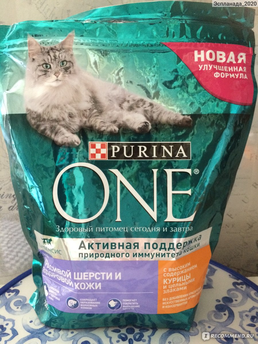 Корм для взрослых кошек Purina One с курицей и цельными злаками - «Можно ли  перевести кошку на бюджетный корм Purina One?» | отзывы