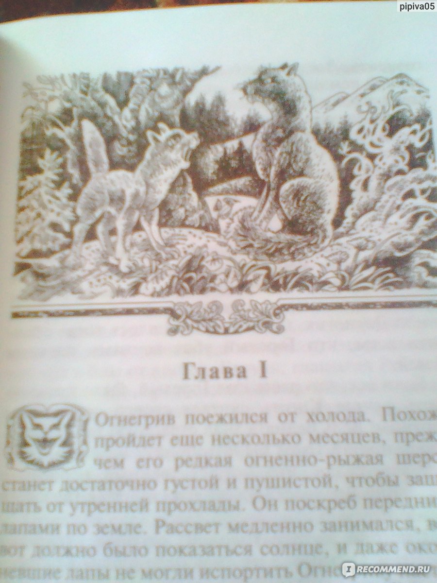 Коты-Воители , Эрин Хантер - «Останься в этой книге...» | отзывы