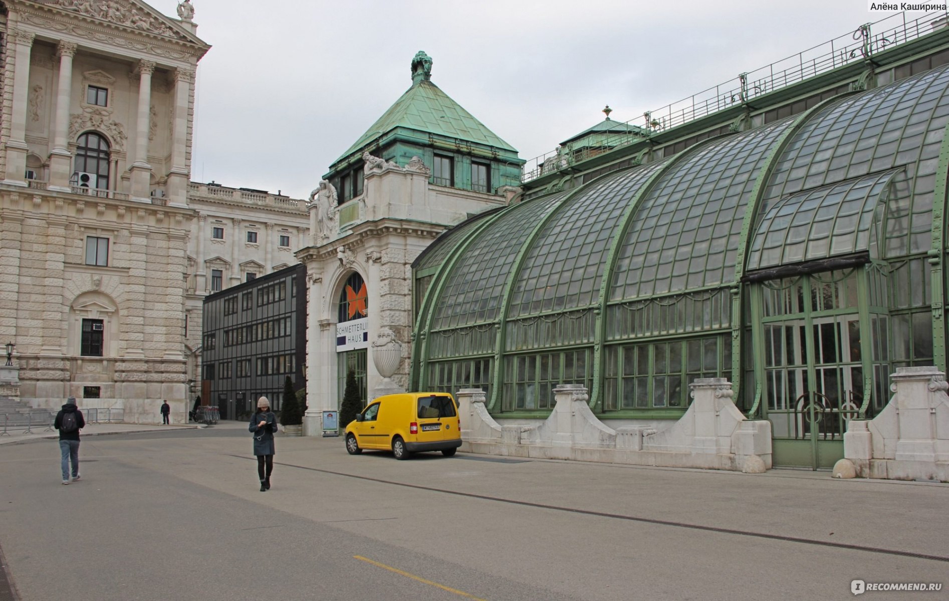 Schmetterling Haus (Дом бабочек), Wien (Вена), Австрия - «не так уж часто  встретишь место, где можно пообщаться с этими прекрасными насекомыми (+  сравнение с Петербургским домом бабочек + цены на посещение + как  добраться)» | отзывы