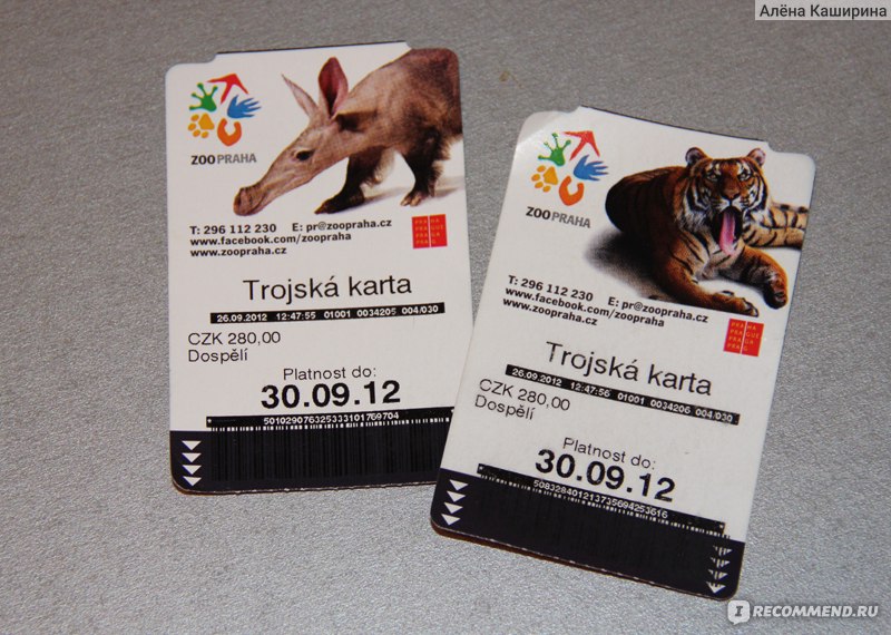 Московский зоопарк билеты стоимость в выходные. Билет в зоопарк. Входной билет в зоопарк. Билет в зоосад. Билет в зоопарк фото.