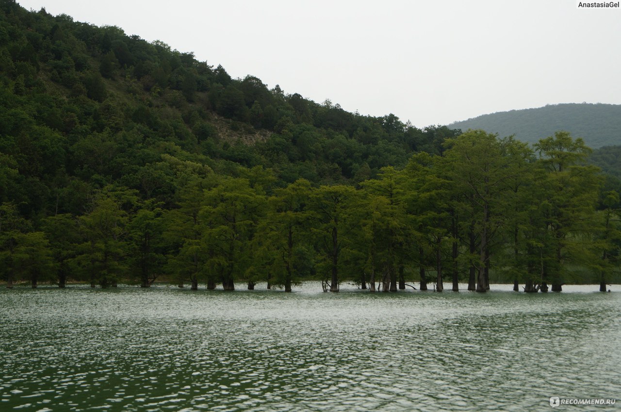 За Геленджиком озеро с деревьями