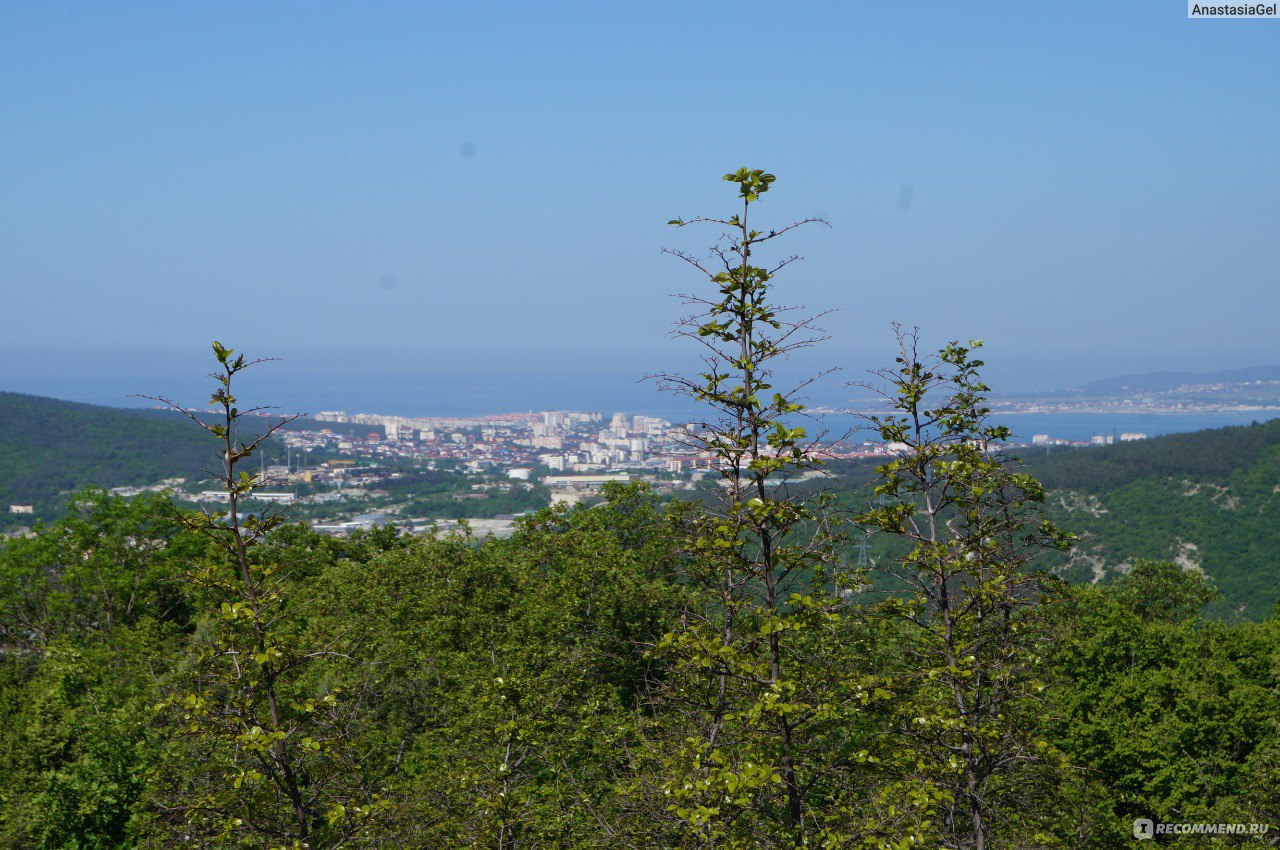 гора нексис геленджик