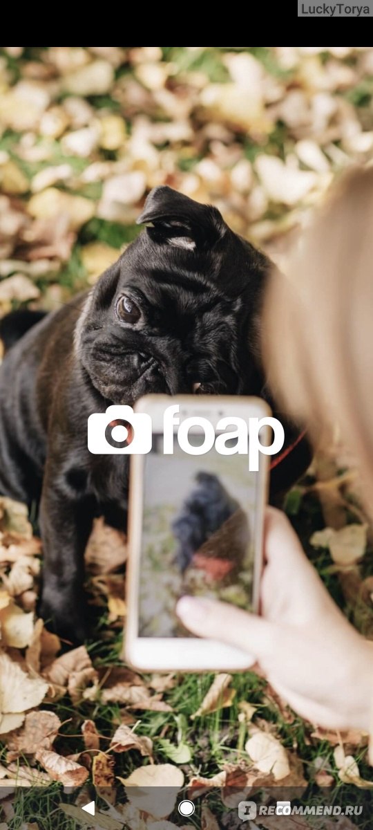 Приложение Foap - продавайте свои фото фото