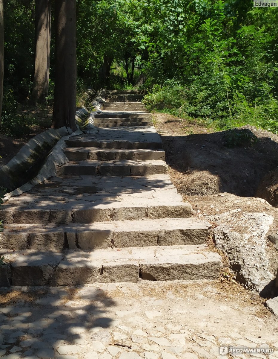 пионерский парк в алупке