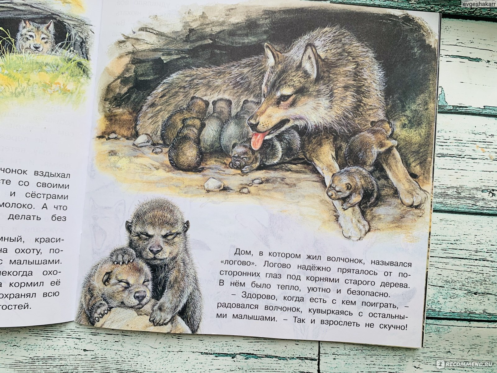 Детские книги про волчонка