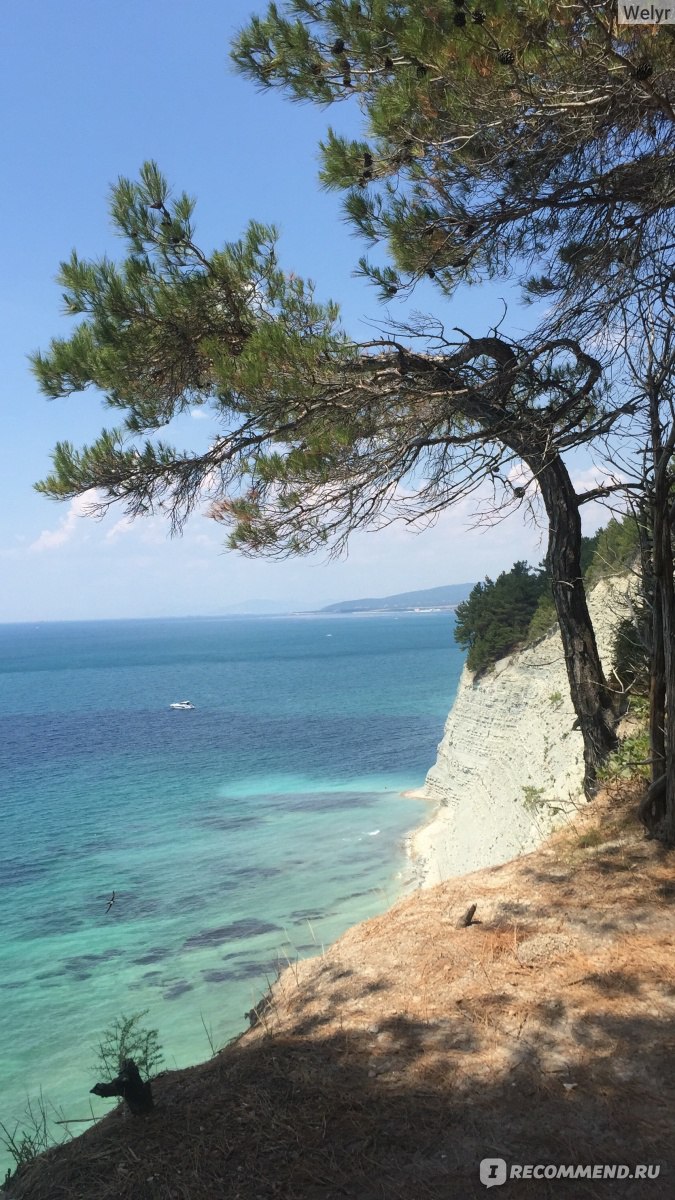 Пляж голубая бездна в дивноморском фото