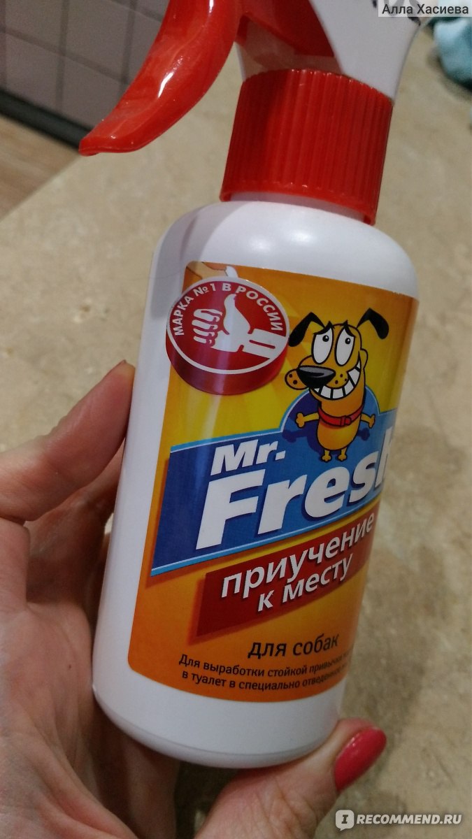 Средство для приучения к туалету Mr. Fresh Питомцев - «Спрей Mr. Fresh -  помощь владельцам питомцев в приучении к лотку » | отзывы