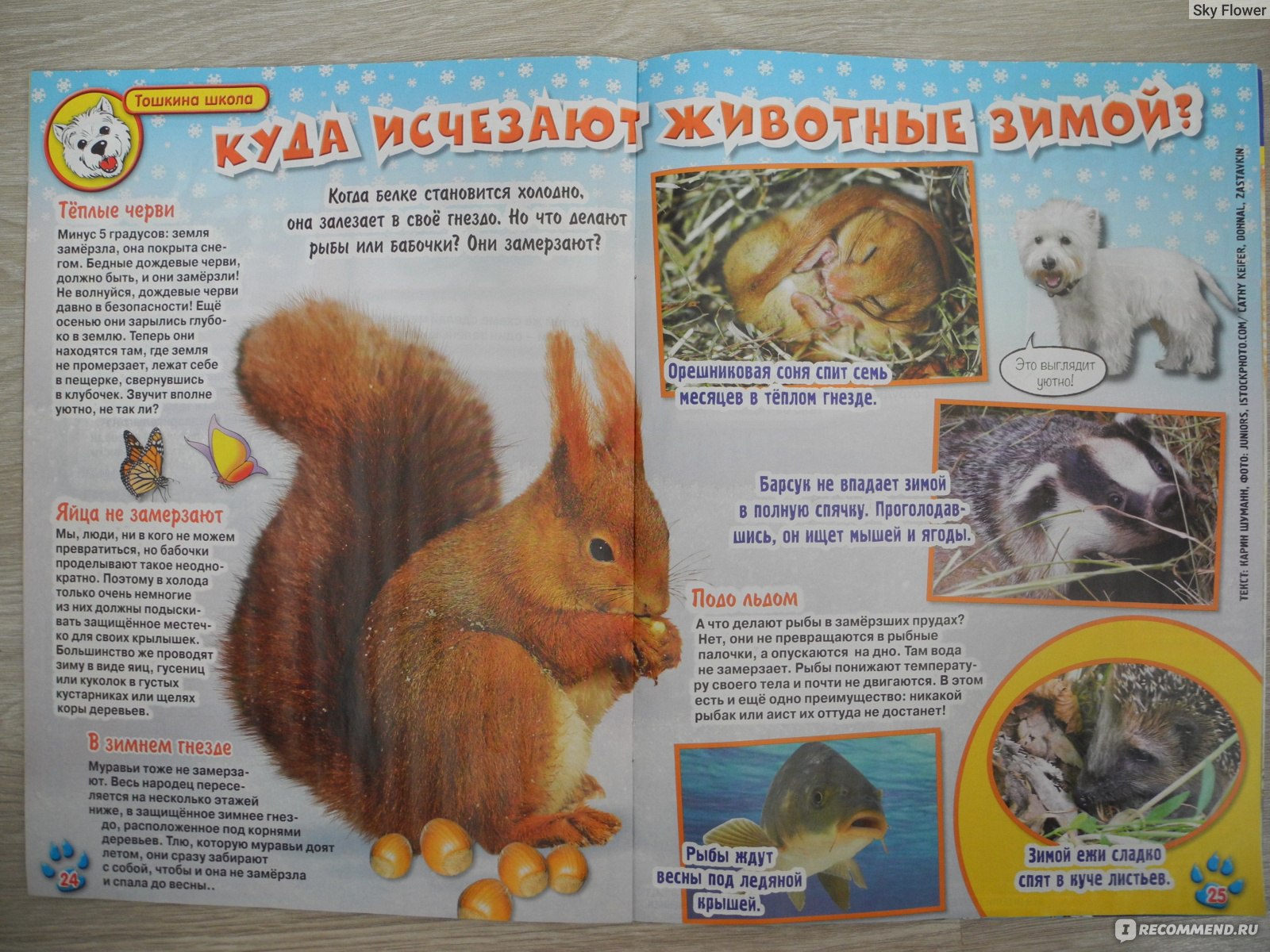 Журналы о природе и животных для детей