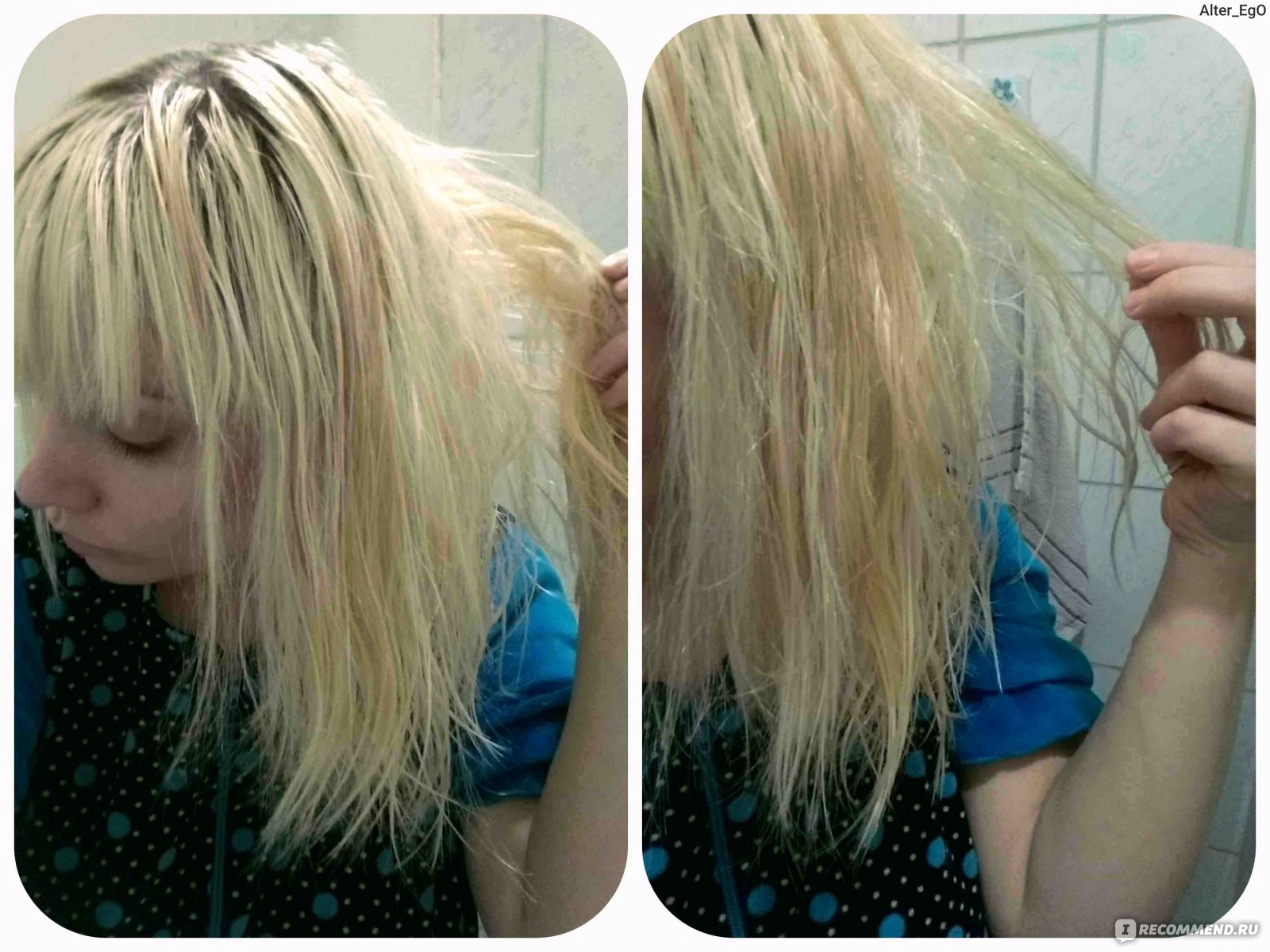 Восстановить сожженные волосы в домашних. Пергидрольные волосы. Пергидрольный цвет волос. Цвет пергидрольной блондинки. Жженые волосы после мелирования.