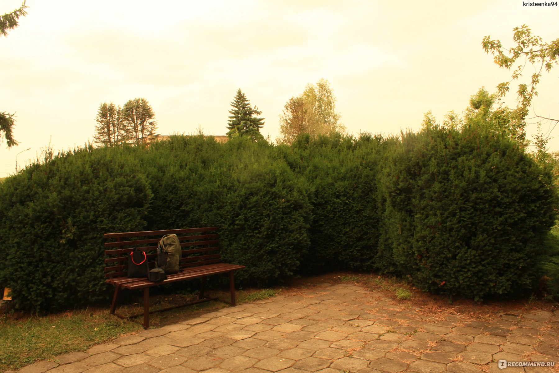 ставропольский ботанический сад прайс лист с фото