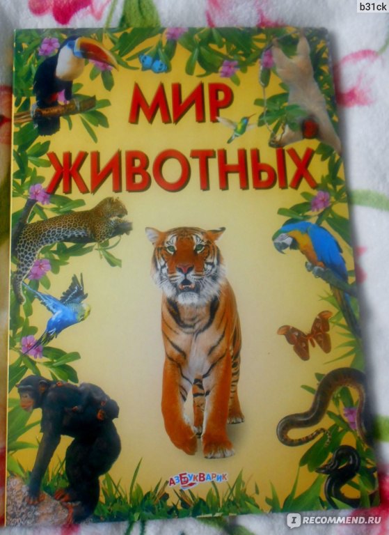 Книжка мир животных. Мир животных Белфакс. Книга 