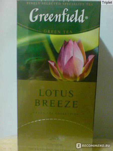 Lotus breeze greenfield