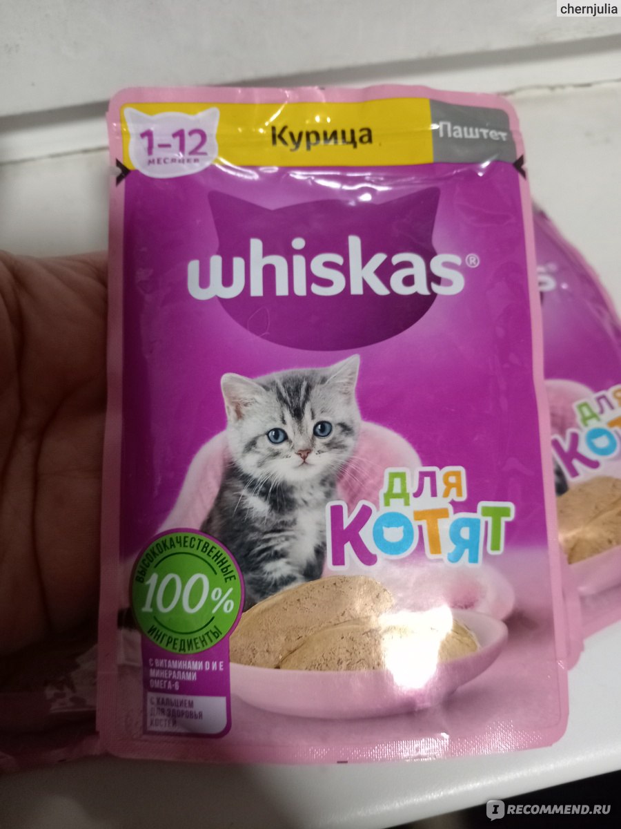 Корм для кошек Whiskas Для котят курица паштет - «Котенок есть не захотел»  | отзывы