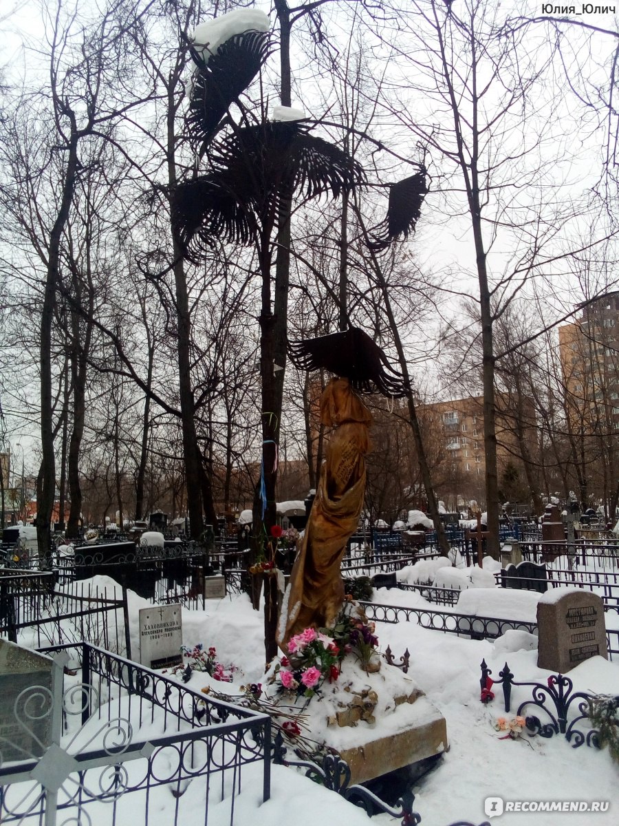 Ваганьковское кладбище Снесарев