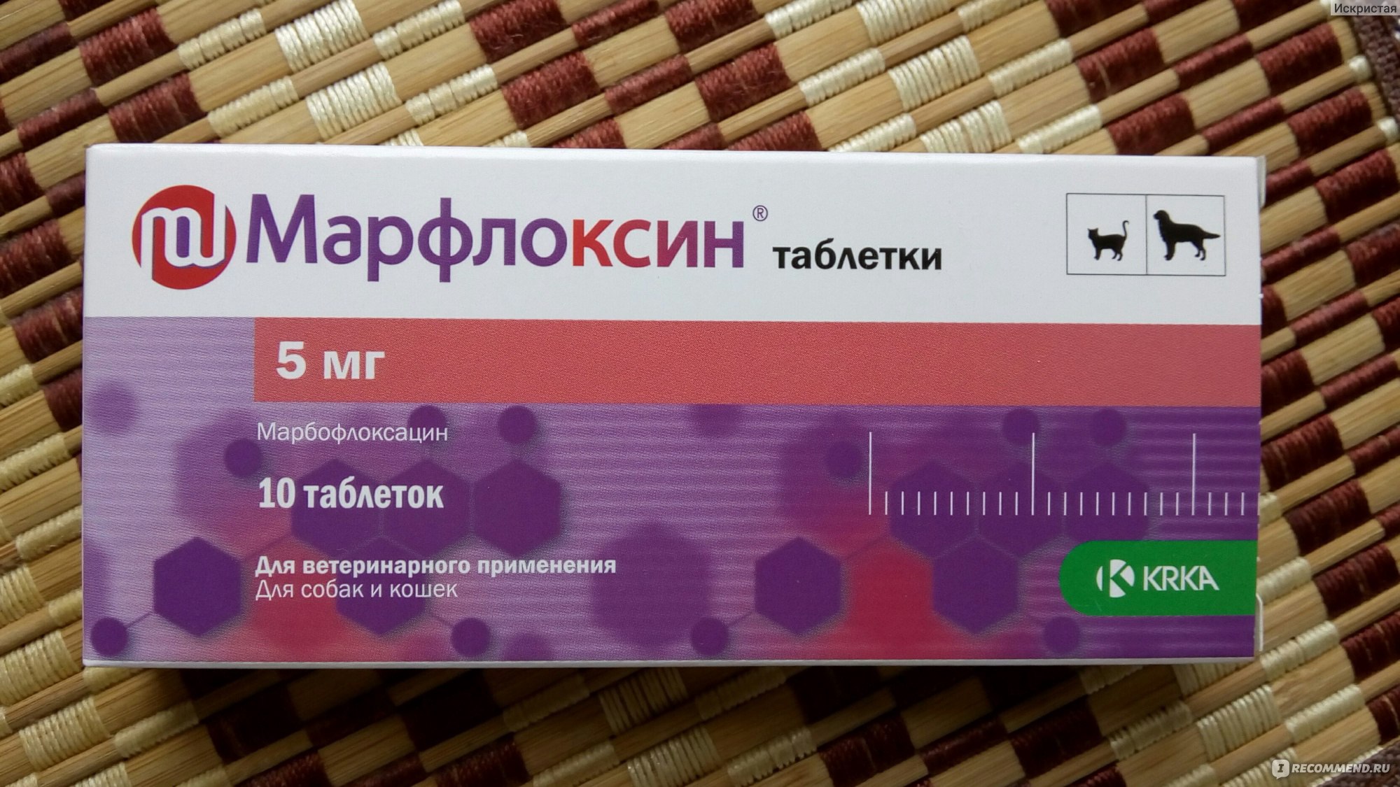 Марфлоксин инструкция для кошек