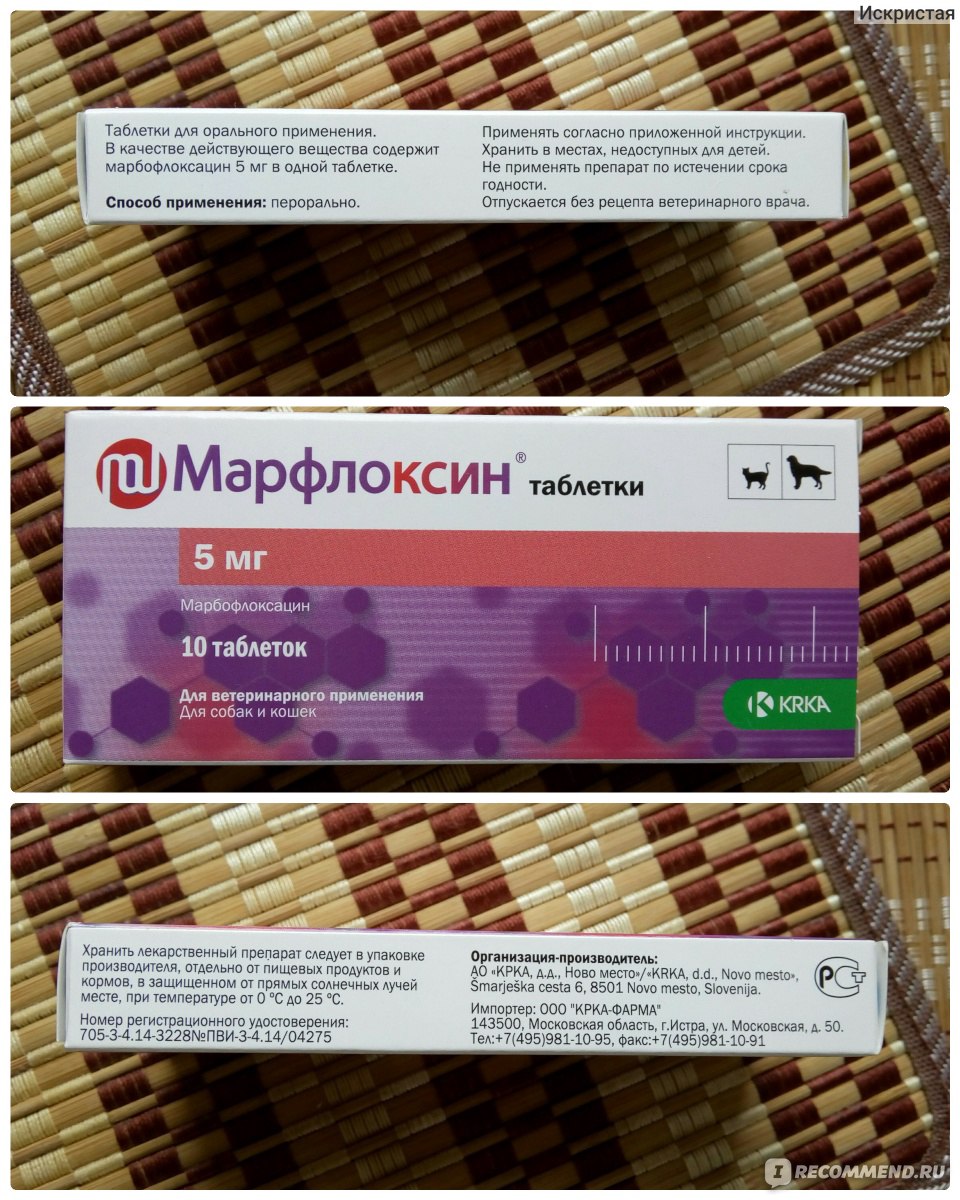 Марфлоксин инструкция для кошек