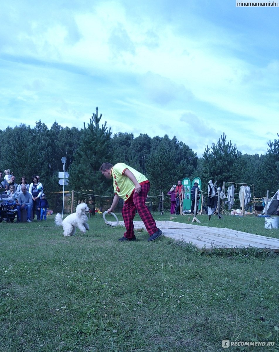 Экопарк "Сраусзоопарк", Пос. Кумысный Чебаркульский район Челябинская область фото