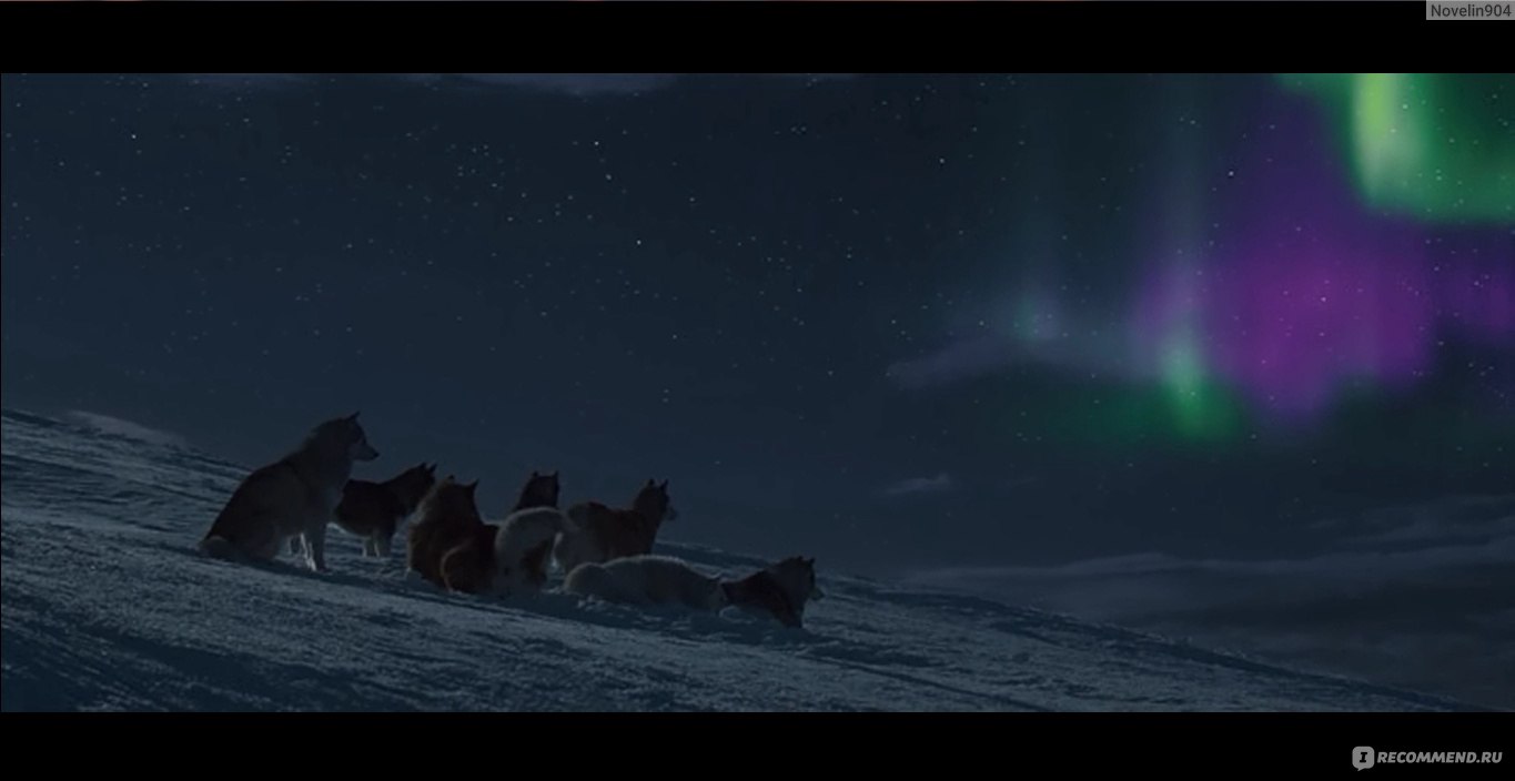 Below is a part of an. Упряжка собак на фоне Северного сияния. Белый плен вечер.