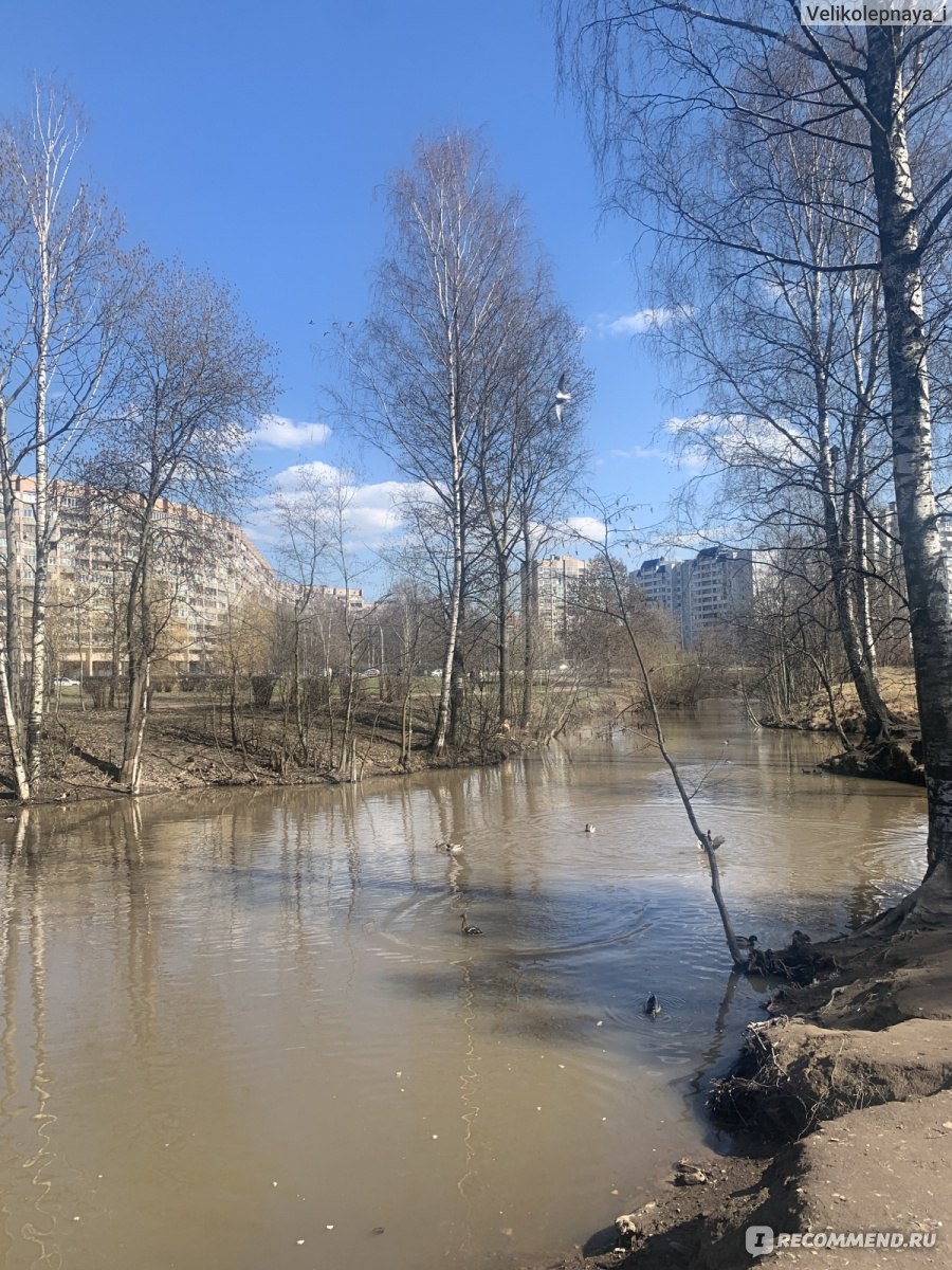 Парк Есенина в Невском районе , Санкт-Петербург - «И зимой, и летом люблю я  место это. Уточки, зелень и дедушки с шахматами. А также детские площадки,  аттракционы и вообще отличное место наш