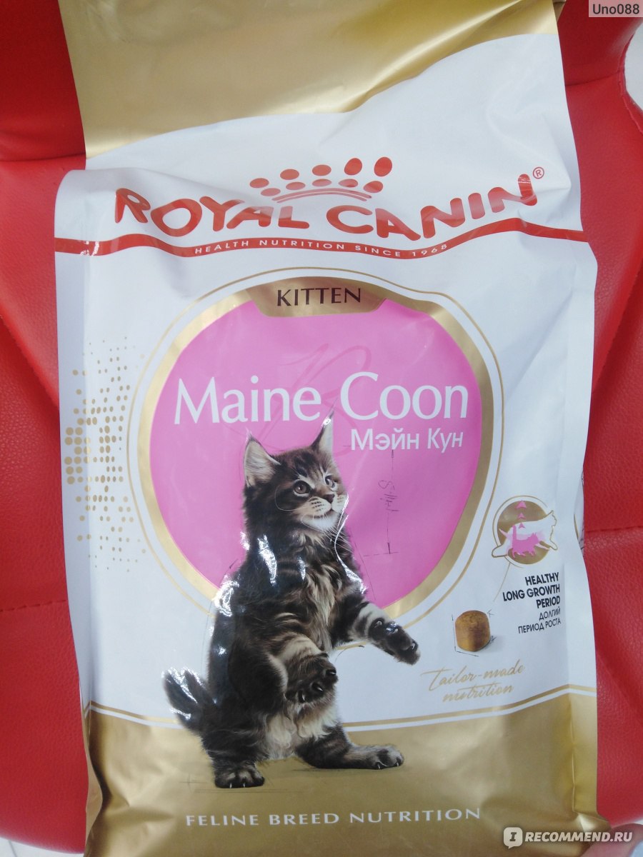 Royal Canin Maine Coon Kitten/Роял Канин для котят Мейн куна - «разница с  обычным кормом для котят?! » | отзывы