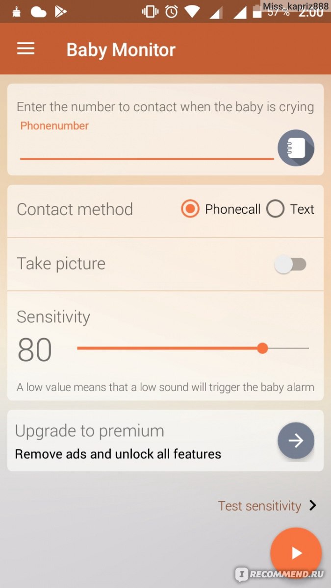 Компьютерная программа Baby Monitor фото