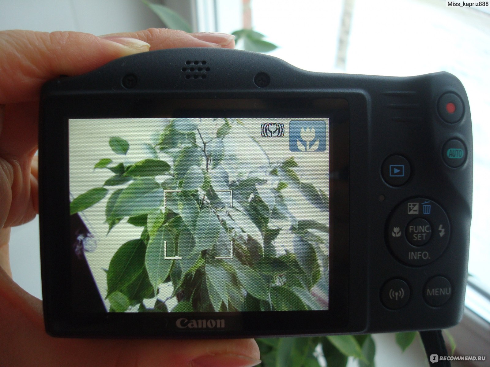 Canon Компактная камера PowerShot SX430 IS - «Достойная камера для  домашнего использования. Разбор режимов. Много ФОТО: пейзажи, макро и мой  эксперимент» | отзывы