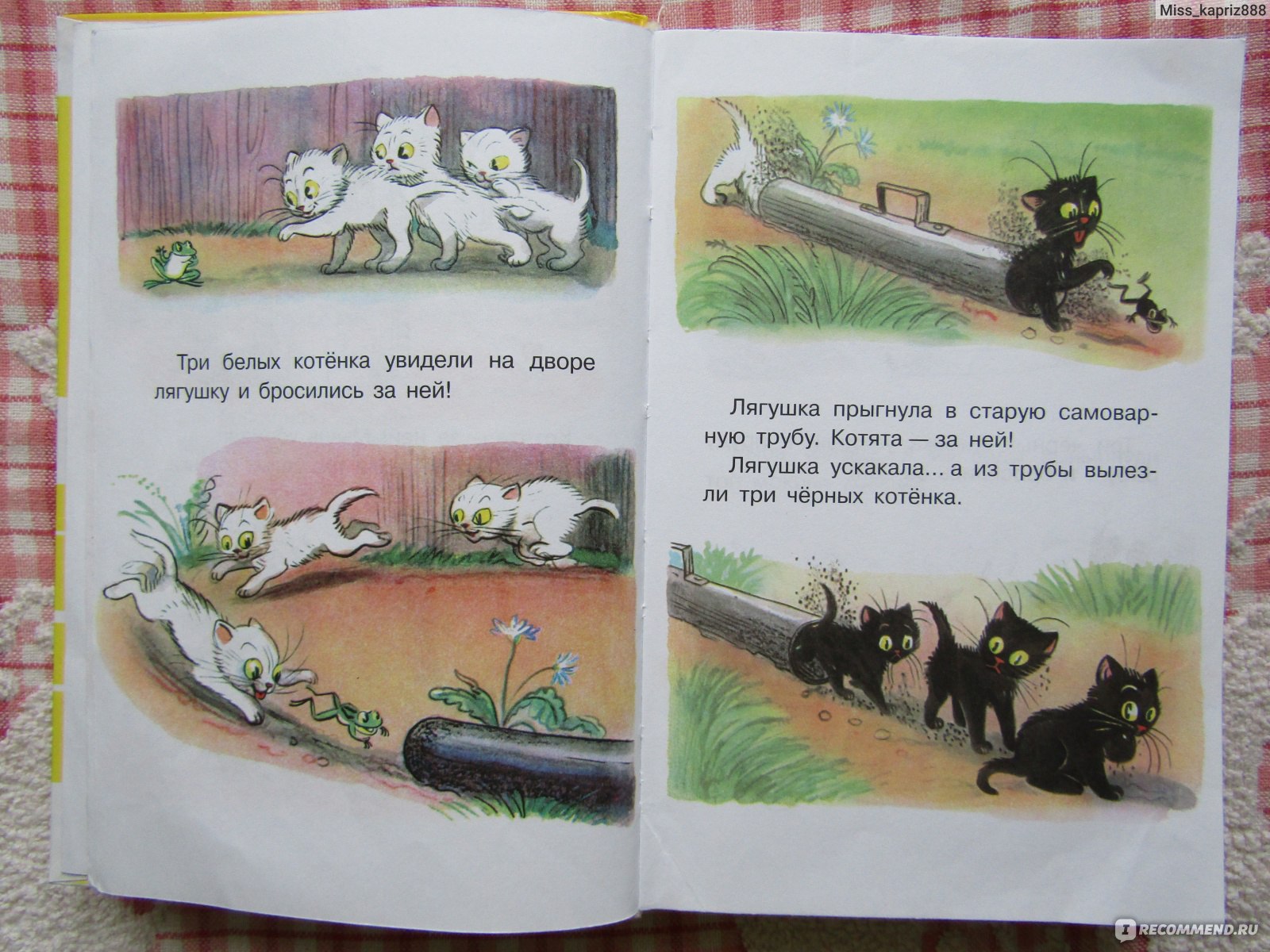 Котенок том читать. Три котенка Сутеева. Сказка котёнок читать. Сутеев три котенка текст с картинками. Рассказ три котенка читать.