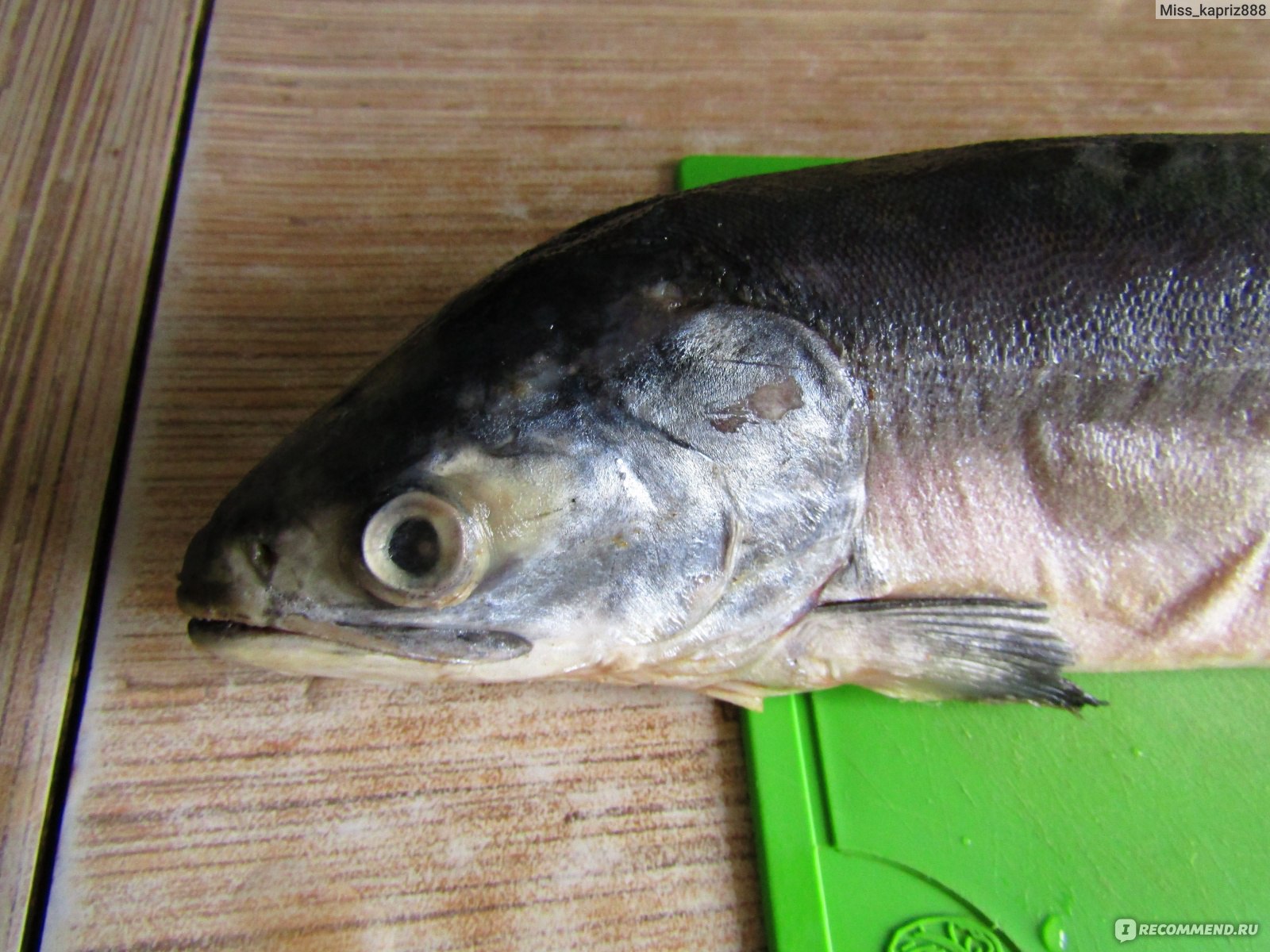 Горбуша Фото Рыбы Самца