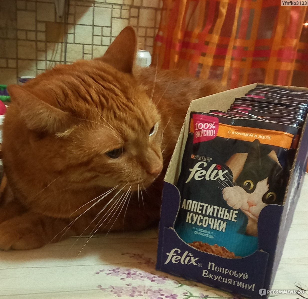 Корм для кошек FELIX Аппетитные кусочки с курицей в желе - «Кот одобрил ...