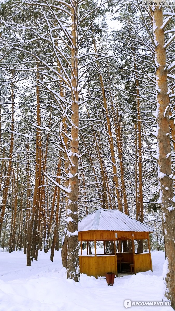 Карта сказка чернолучье