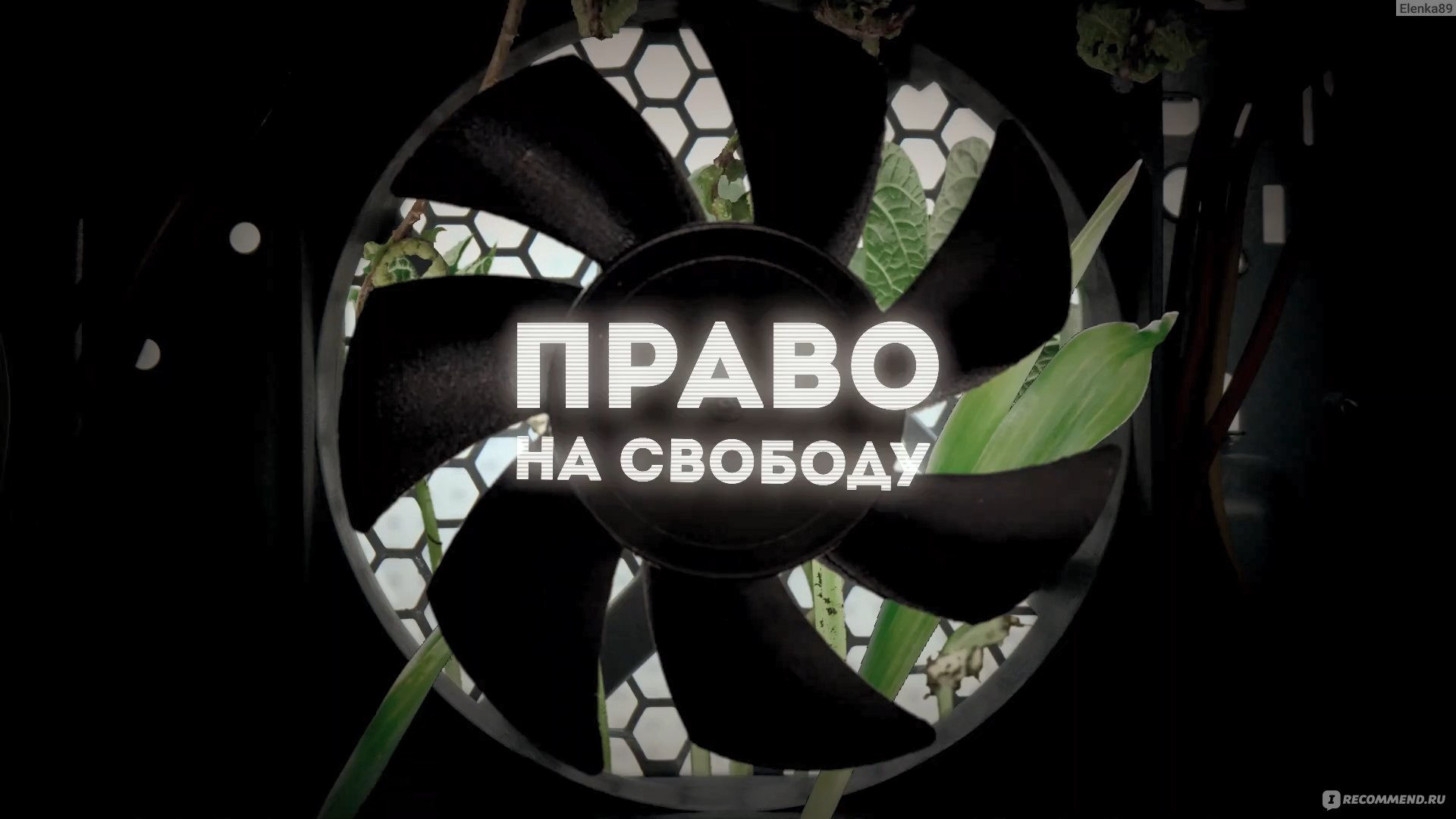 Право на свободу - «