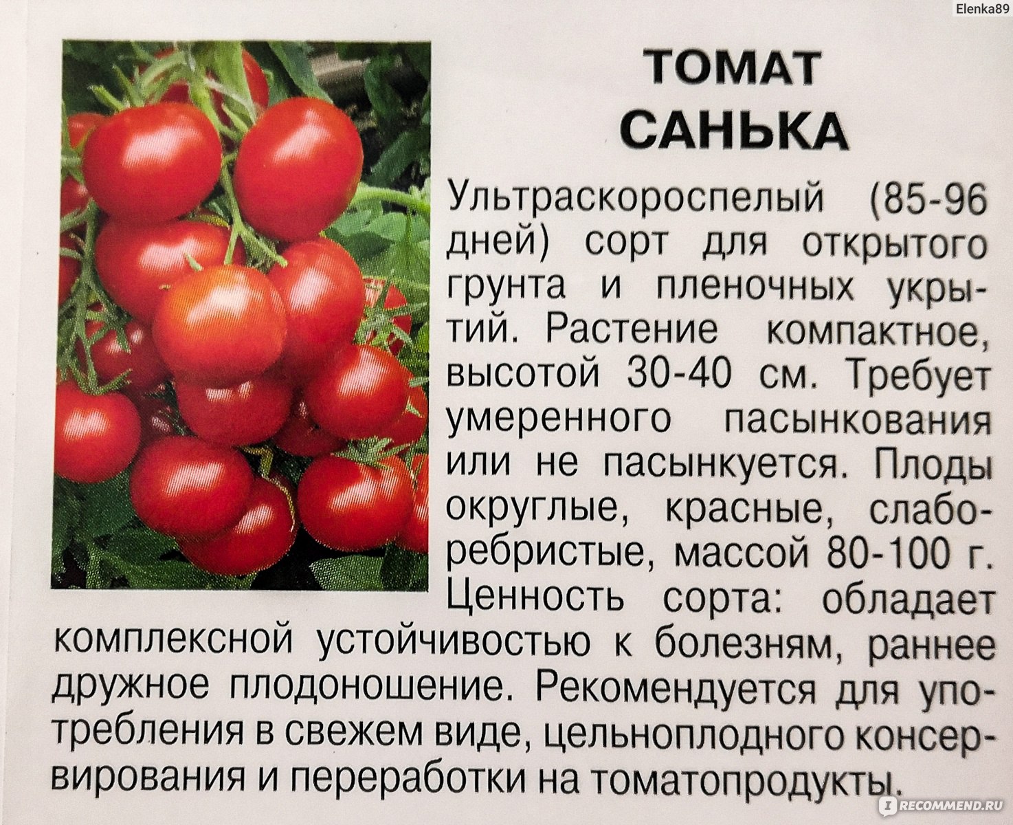 Санька томат описание