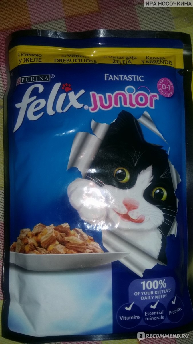 Корм для кошек FELIX С курицей в желе для котят - «Вкусный корм для котят  FELIX JUNIOR 0-1 YEAR с курицей в желе» | отзывы