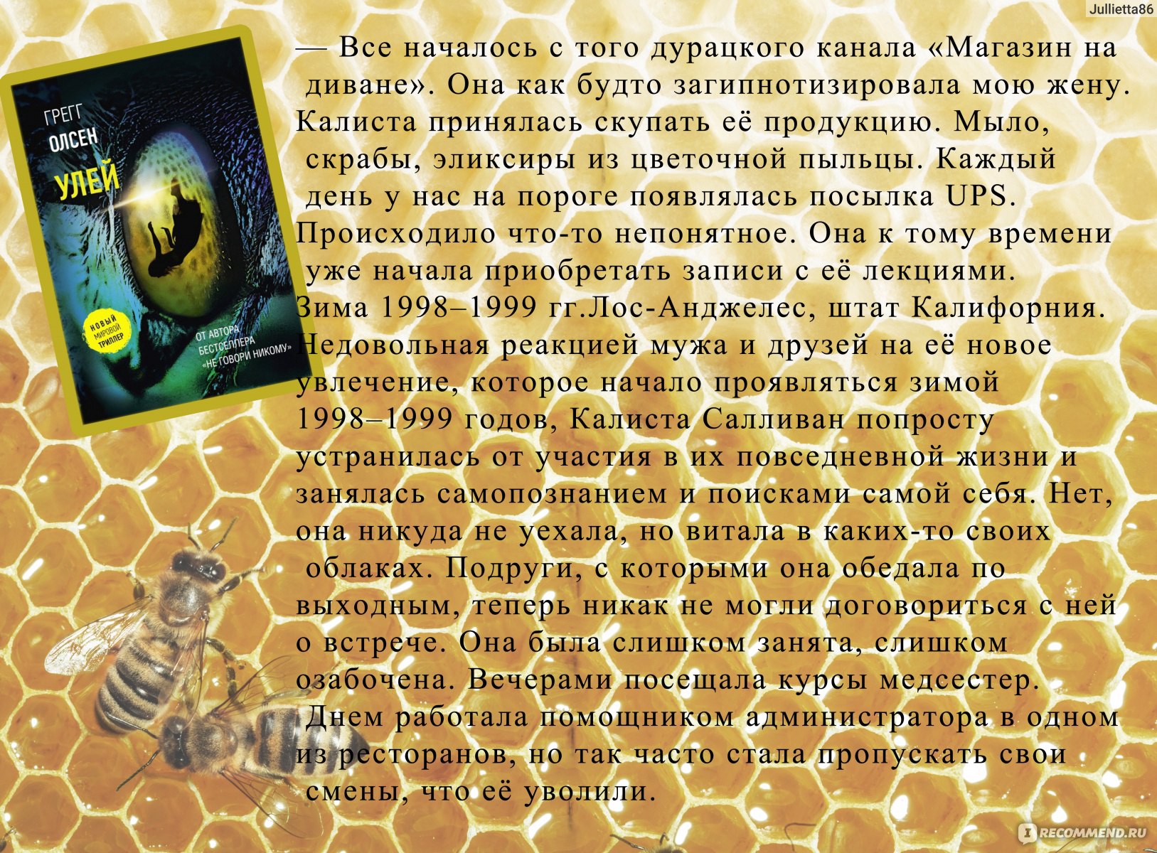 Улей. Грегг Олсен - «Странные убийства, запутанные тайны прошлого и тайная  община женщин, делающих натуральную косметику. Триллер о том, что  заставляет людей идти в секты и верить разным гуру и к чему