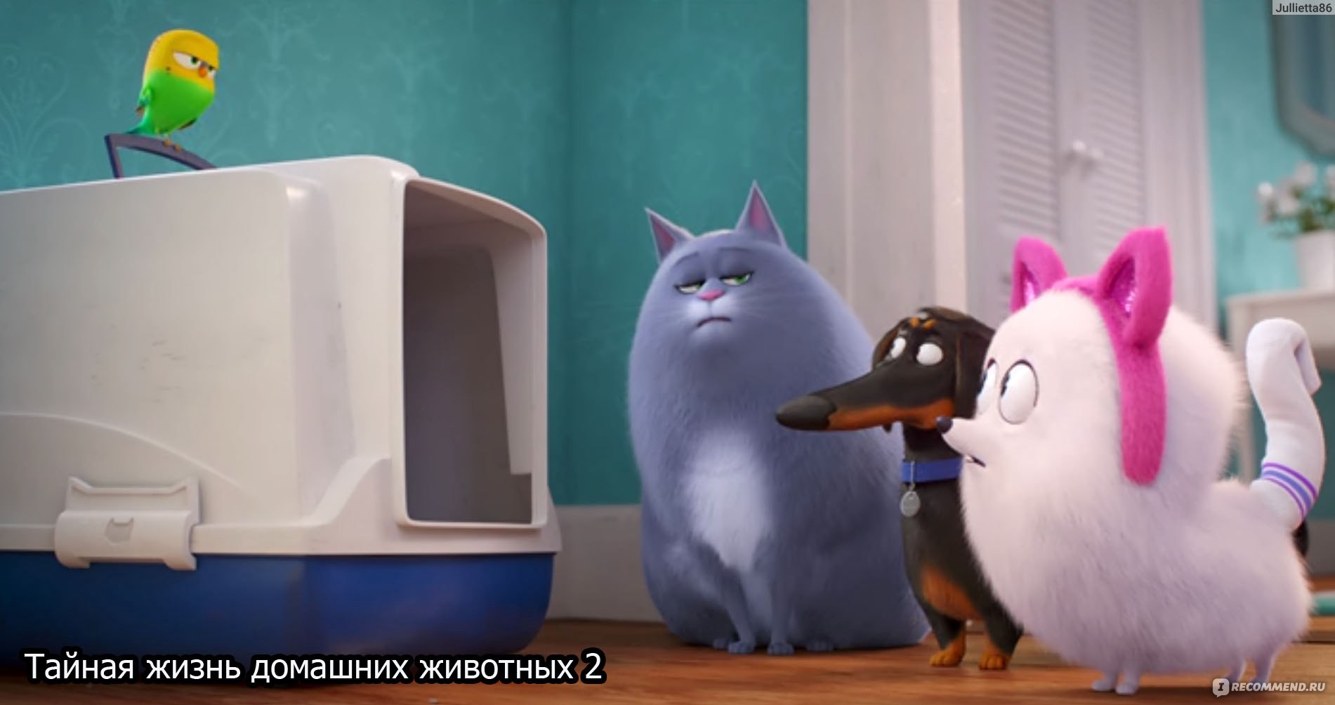 Тайная жизнь животных пернатые приключения трейлер. Тайная жизнь животных 2. Гиджет Тайная жизнь 2.