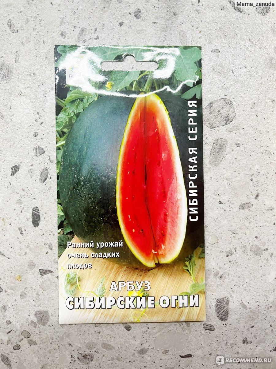 Арбуз Сибирские огни Агрохолдинг Поиск - «Выращиваем арбуз в Сибири. Стадиироста арбуза из семечки.»