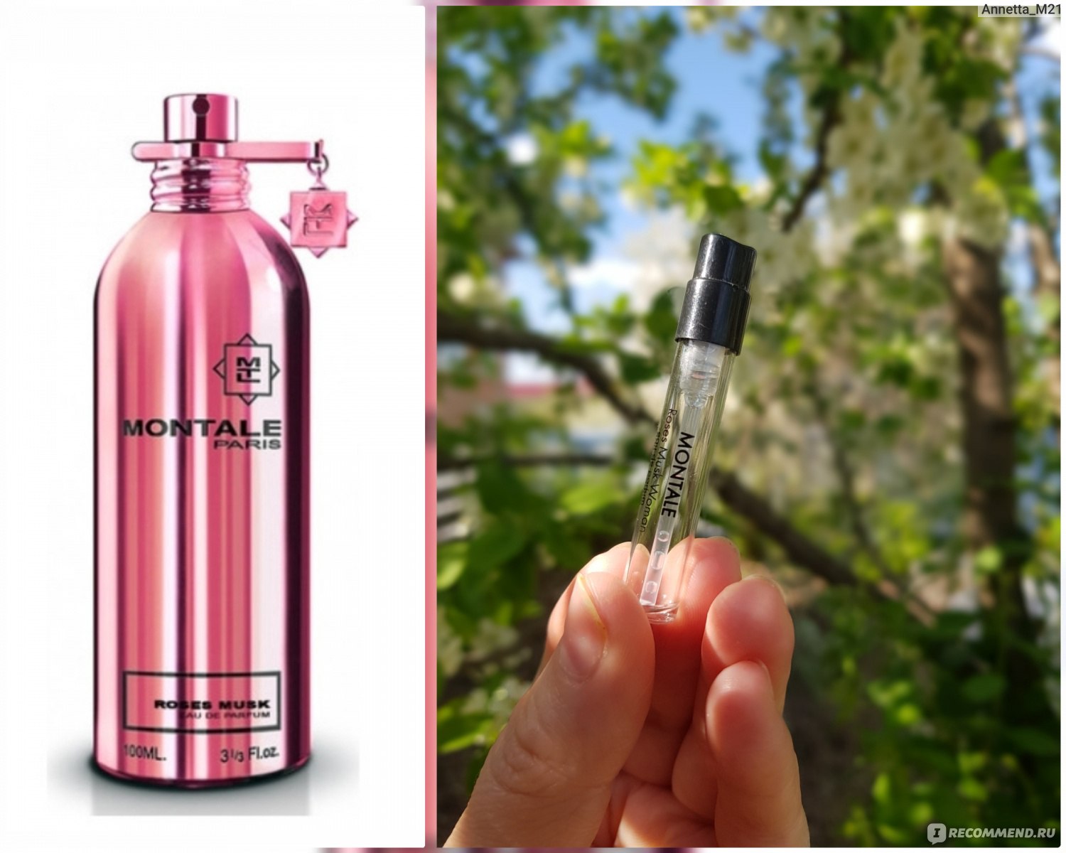 Монталь roses musk. Духи Монталь розовый мускус. Монталь Роуз Маск. Montale Roses Musk (розовый мускус). Montale Roses Musk 50ml.