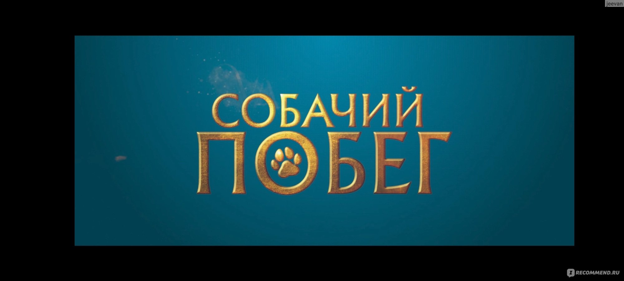 Собачий побег/Valatty (2023, фильм) - «Индийский фильм про побег двух  любящих друг друга собак. Очень трогательно). » | отзывы