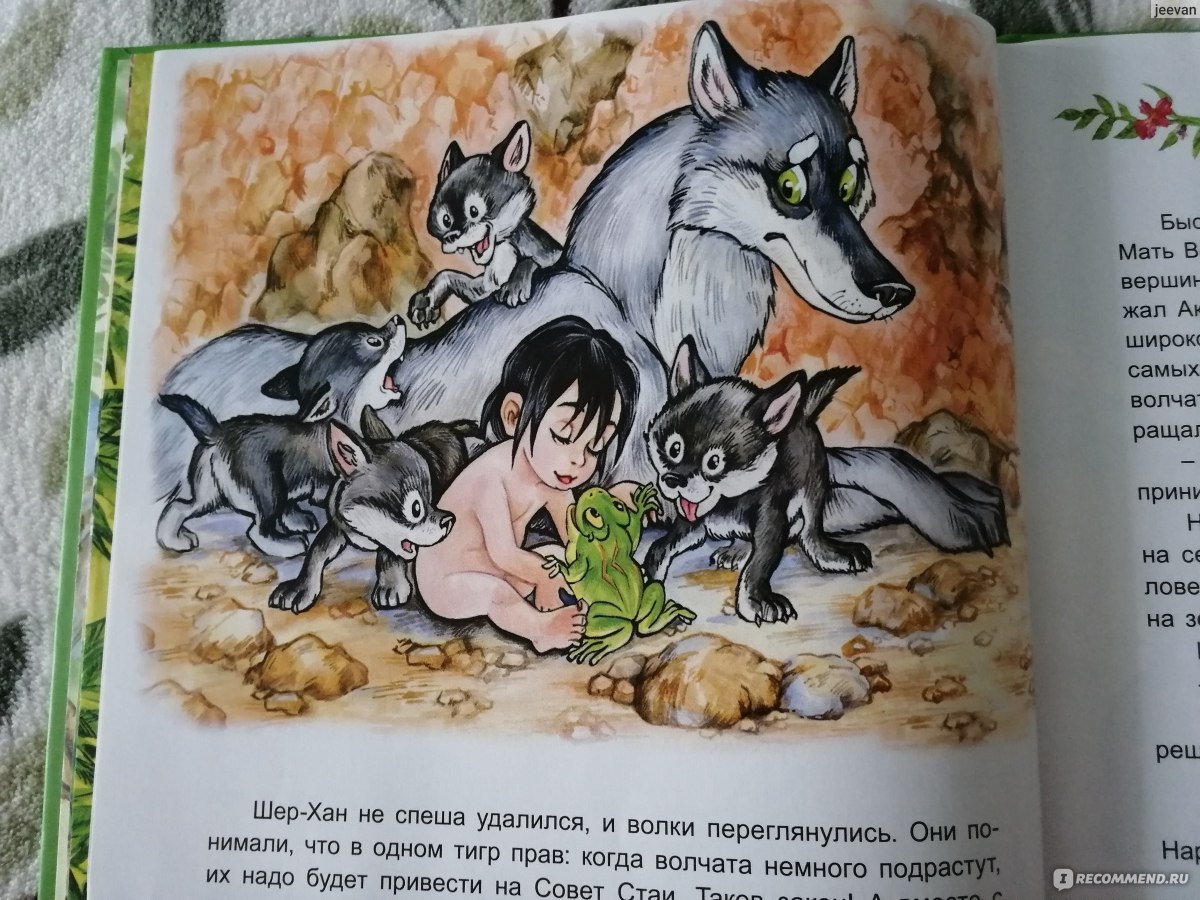 Братья маугли из книги маугли план