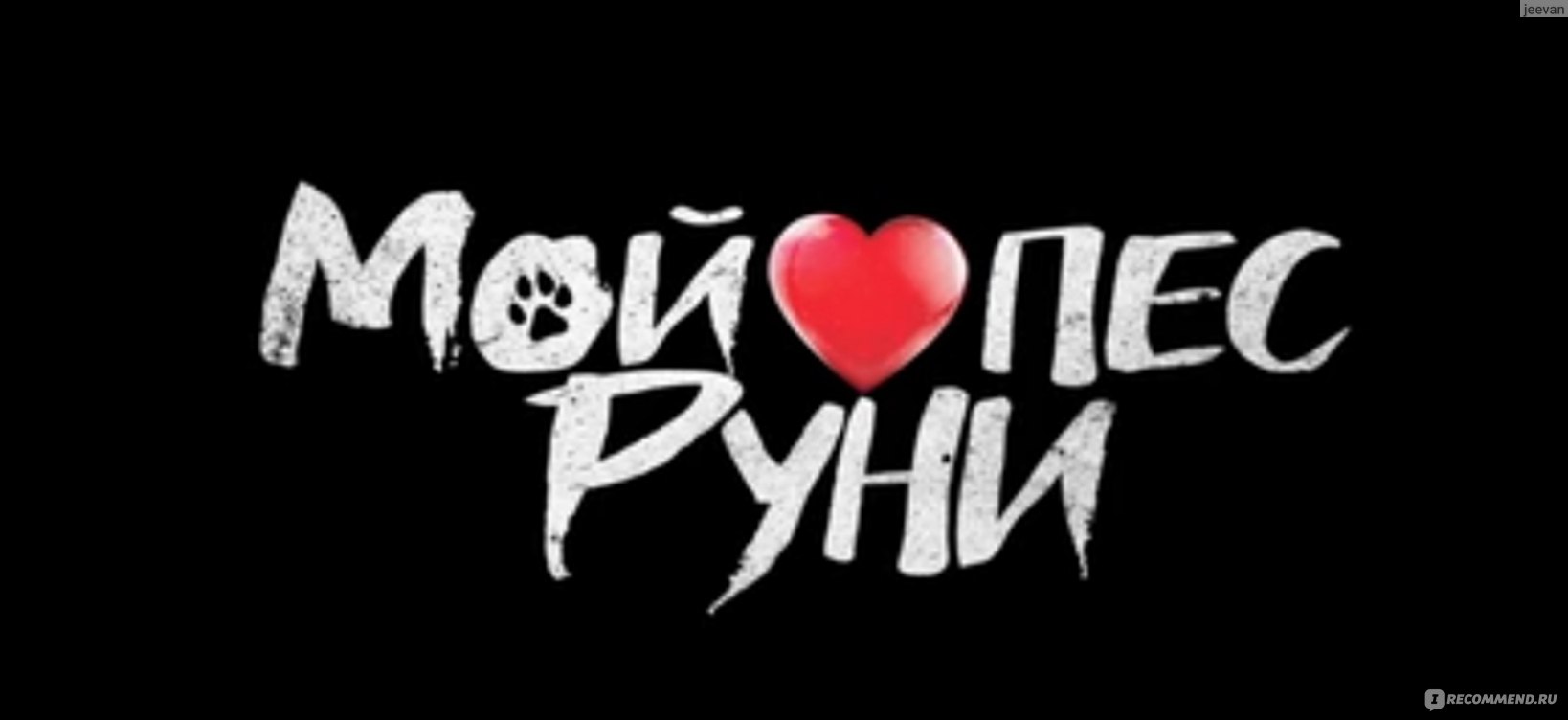 Мой пёс Руни/Meongmongi/My Heart Puppy (2023, фильм) - «Прежде чем завести  домашнего питомца, нужно сто раз подумать, чтобы не было как с Руни и его  хозяевом. Очень трогательный фильм с милыми актёрами