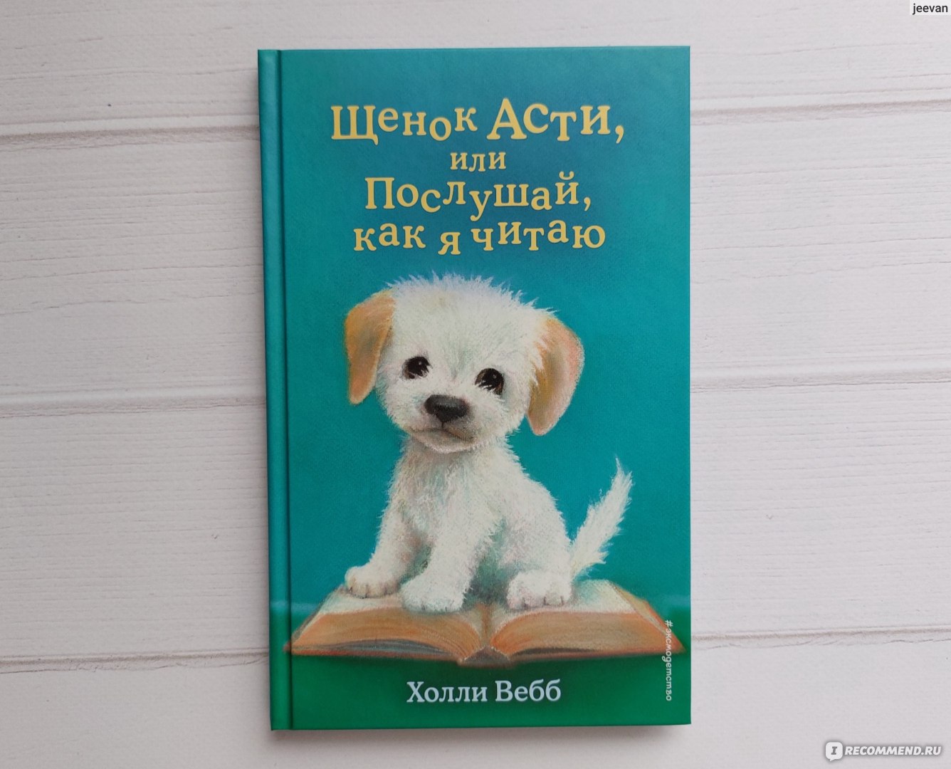 Щенок Асти, или Послушай, как я читаю. Холли Вебб - «Книга, которая  прививает любовь к чтению. ❤️Трогательная история о маленьком щенке Асти и  мальчике Джеке, которые нашли друг друга, благодаря общему делу. » |