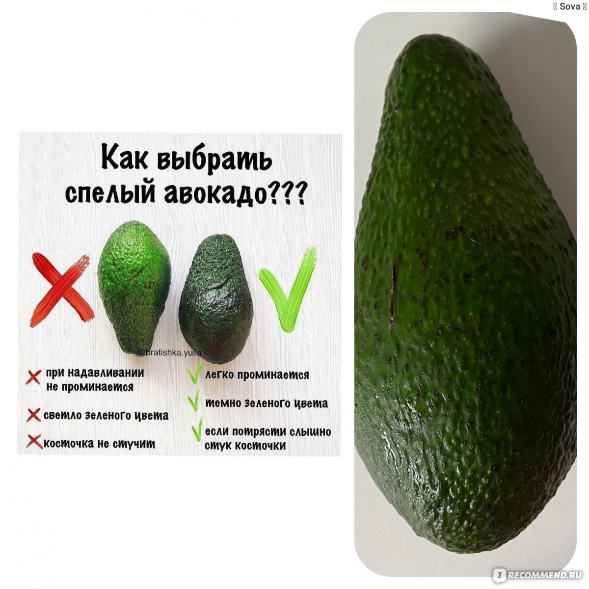 Польза и вред авокадо для организма, при каких болезнях нельзя, как правильно есть авокадо