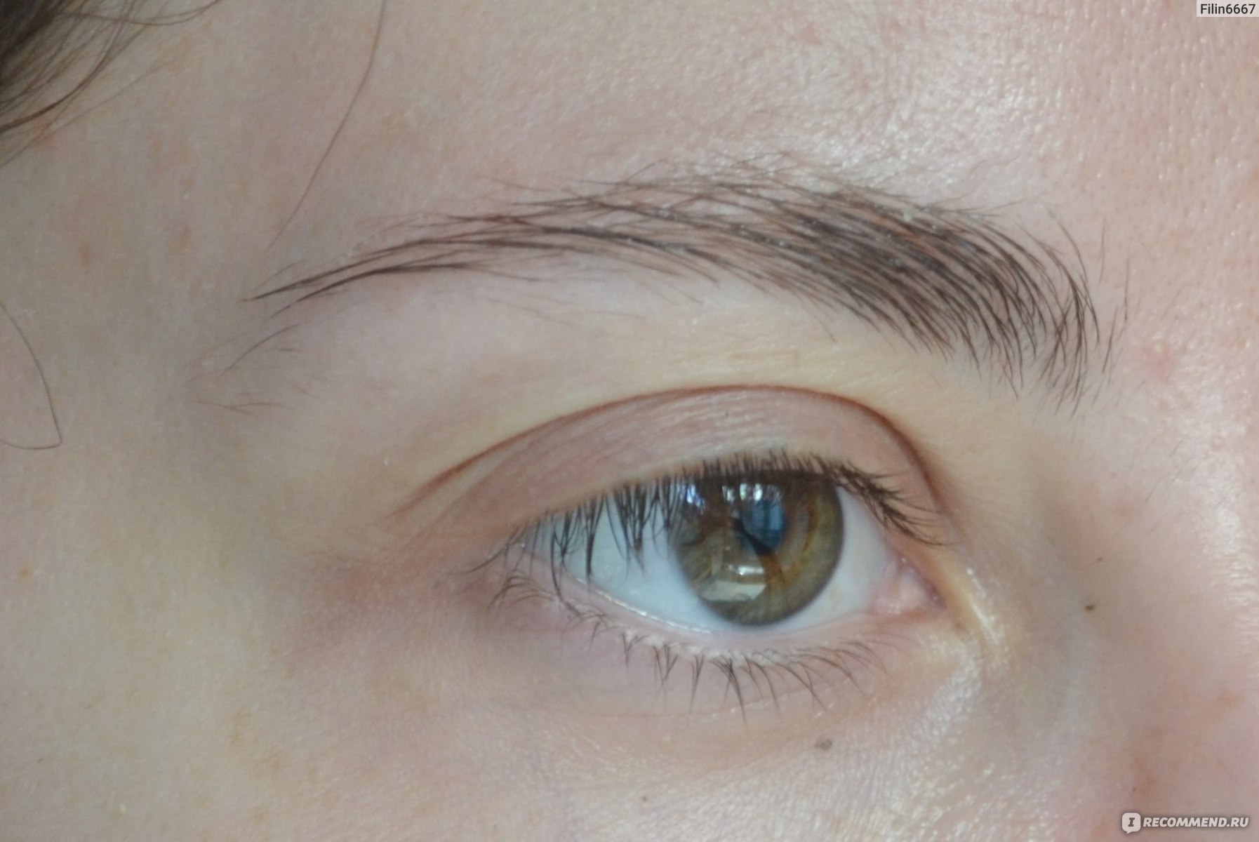 Гель для бровей Beauty bomb Dacha Brow berry - «Бюджетный гель для ...