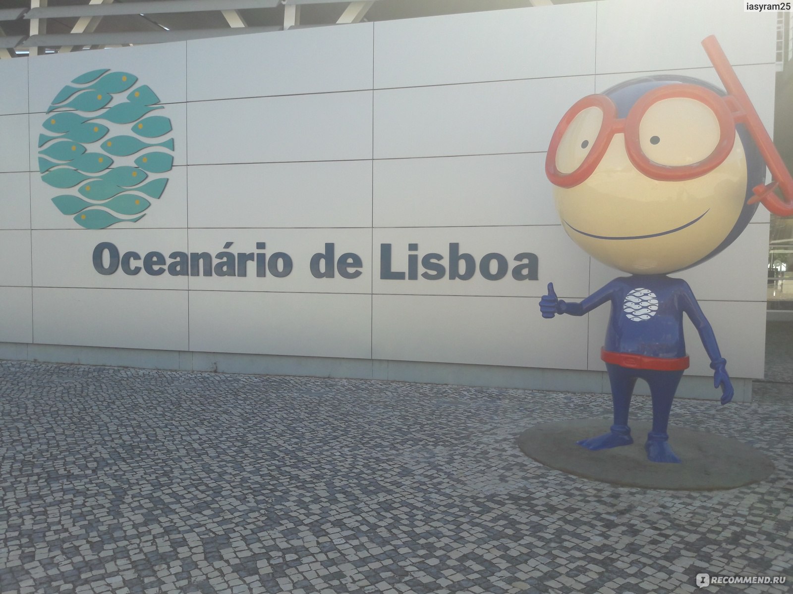 Oceanário de Lisboa / Океанариум в Лиссабоне - «А вы уже были в  Лиссабонском океанариуме? Если нет, то поспешите!» | отзывы