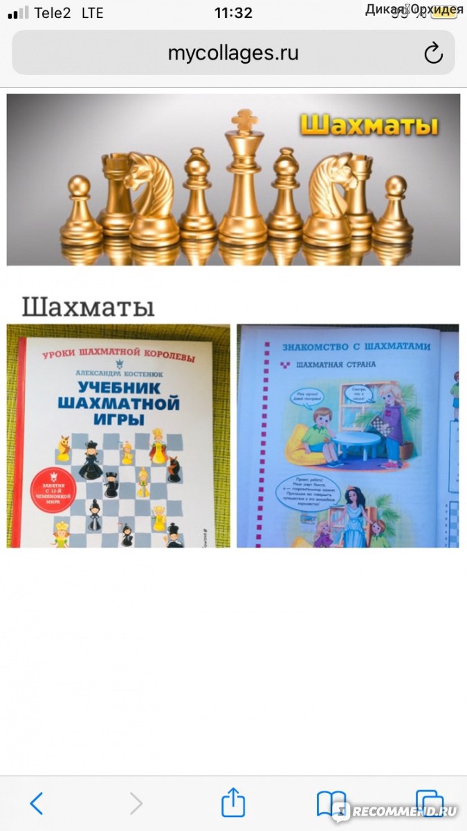 Учебник шахматной игры. Основные правила, фигуры, победные комбинации и 122  задачи для решения. Александра Костенюк - «✓ Шахматы пылятся дома? Знакомая  история! Научимся сами и научим играть детей с учебником шахматной игры  Александры » | отзывы